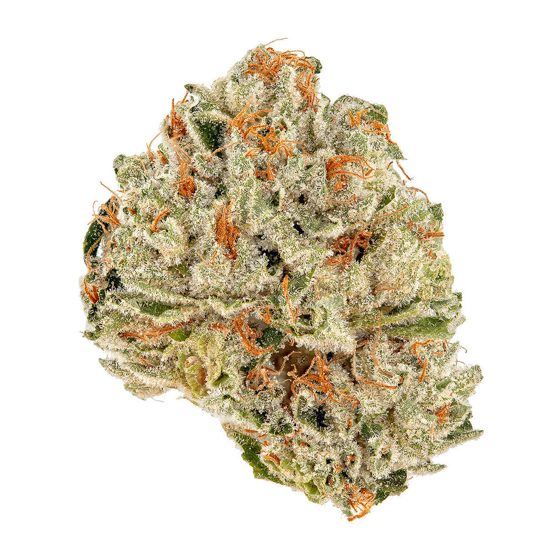 Gruntz (Indica dom. Hybrid)