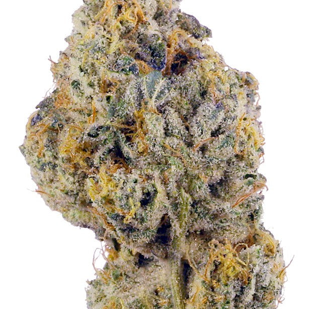 Cake Pop(Hybrid)