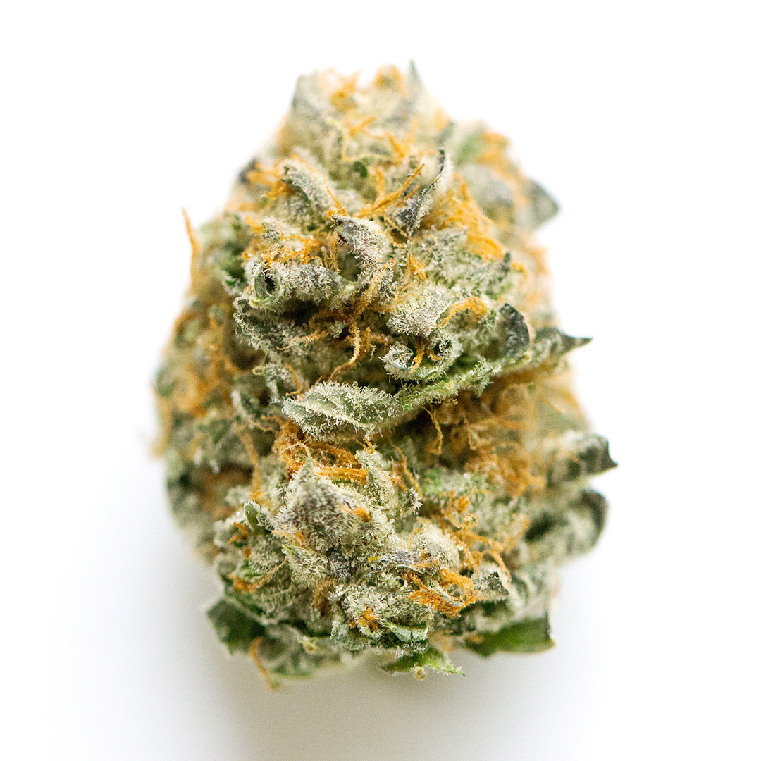 Alaskan Ice(Sativa Dom. Hybrid) | Buy THC-A hemp flower online | ExoticsDispo