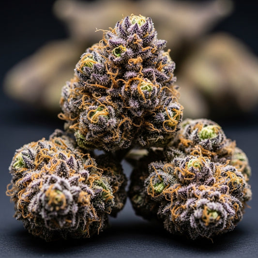 Best THC-A Flower Strains 2026 - Premium Hemp Flower at Exotics Dispensary