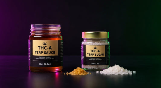 THC-A terp sauce and live sugar concentrate jars with purple and green lighting