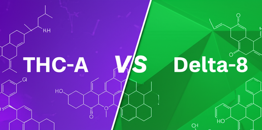 THC-A vs Delta-8: What's the Difference and Which Is Right for You?