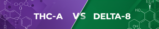 THC-A vs Delta-8 comparison infographic with purple and green split design