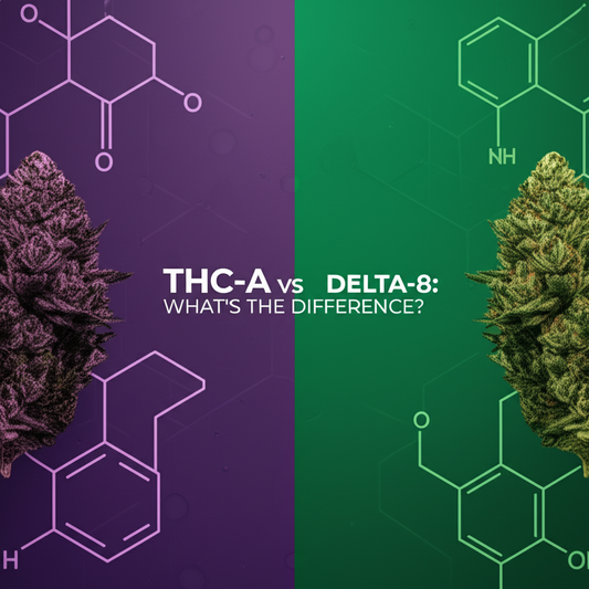 THC-A vs Delta-8 comparison guide - Exotics Dispensary