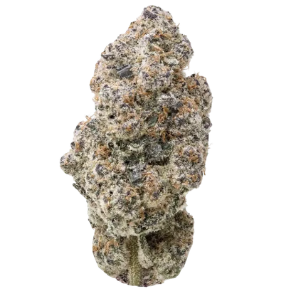 Nuclear Slurpee (Hybrid) - product image