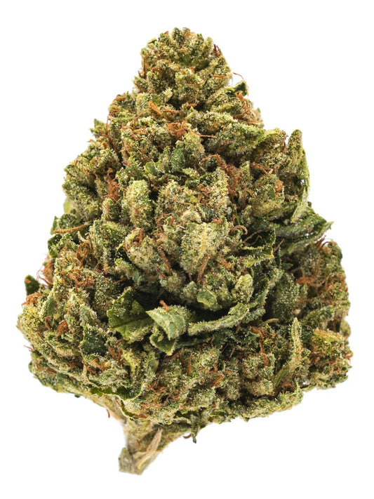SFV OG (Indica Dom. Hybrid) - product image
