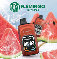 Flamingo SKB30000 Smart Multifunctional Disposable Vape