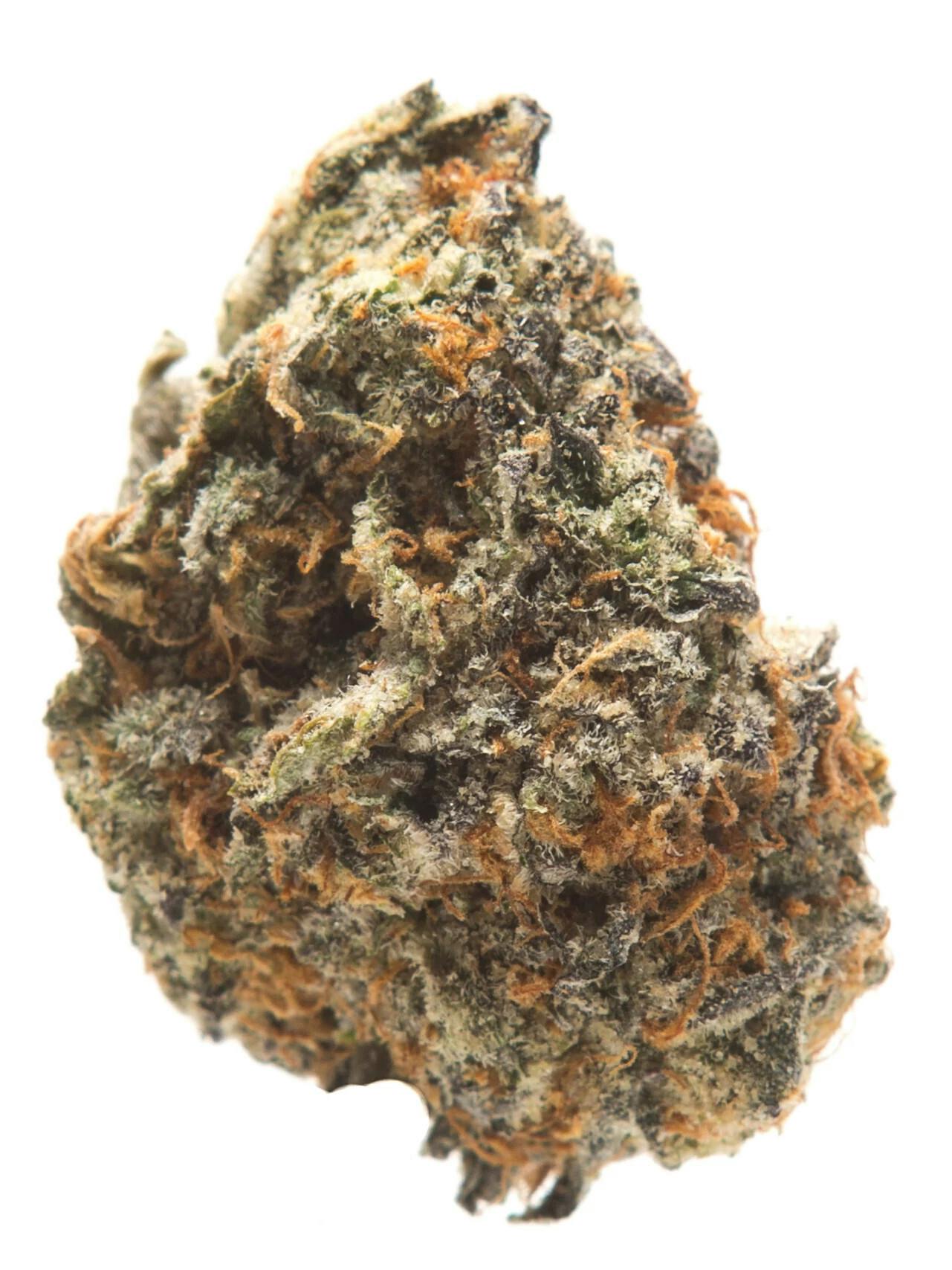 Night Train (Indica)