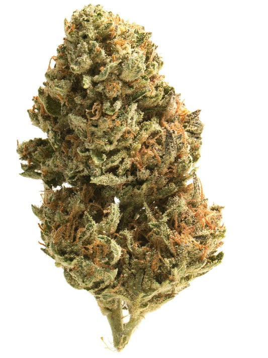 Blue Gusher (Indica Dom. Hybrid)