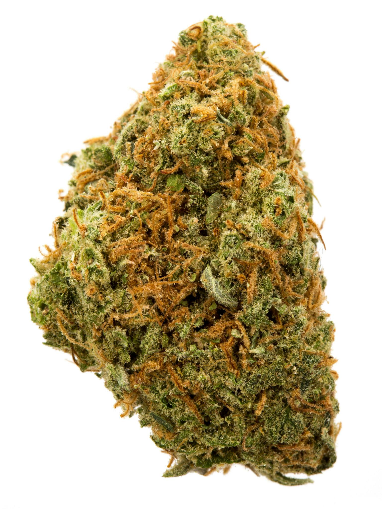 Jungle Juice (Sativa Dom. Hybrid)