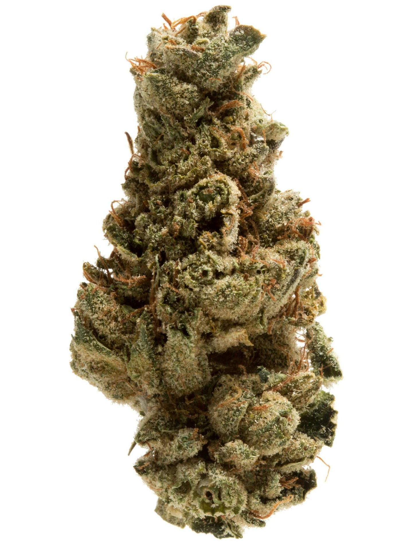 Raspberry Skywalker (Indica Dom. Hybrid) - product image