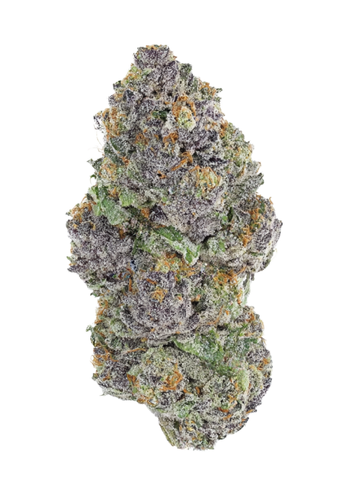 Candy Hustle (Hybrid) - product image