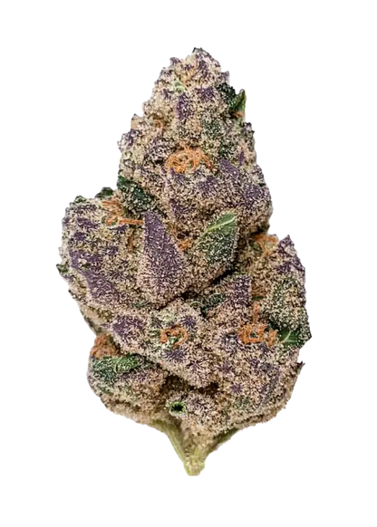Blueberry Slushy (Indica Dom. Hybrid) - Front View