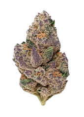 Blueberry Caviar(Hybrid)