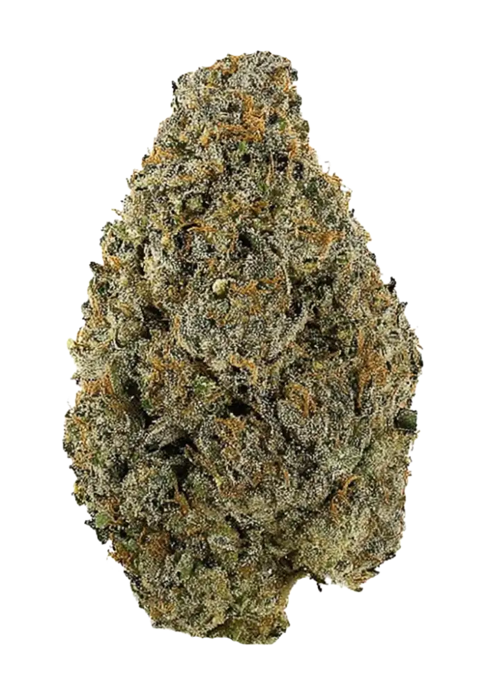 New Money (Hybrid) - product image