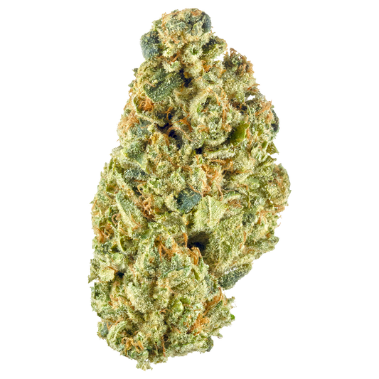 Headband OG (Hybrid)
