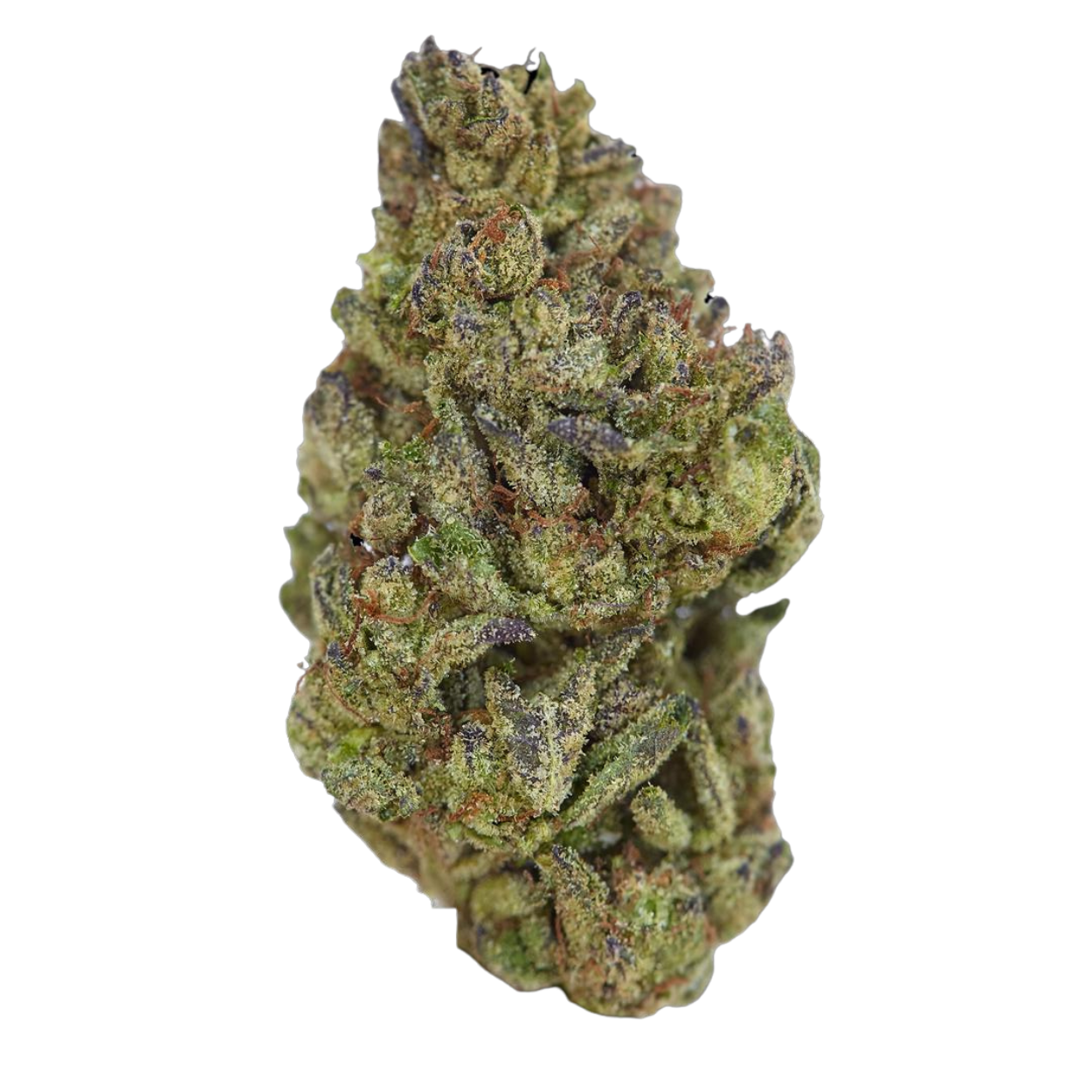 Dank Sinatra (Hybrid)