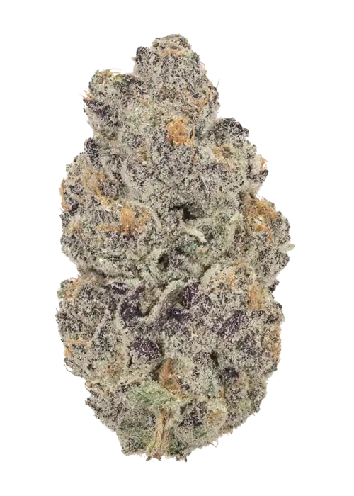 Super Oreoz (Indica Dom. Hybrid)