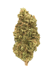 Dirty Bird (Indica dom. Hybrid)