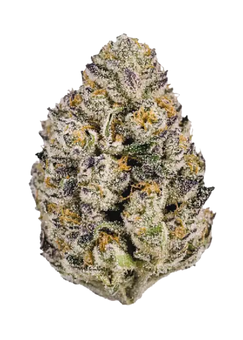 Lemon Cherry Runtz (Hybrid)