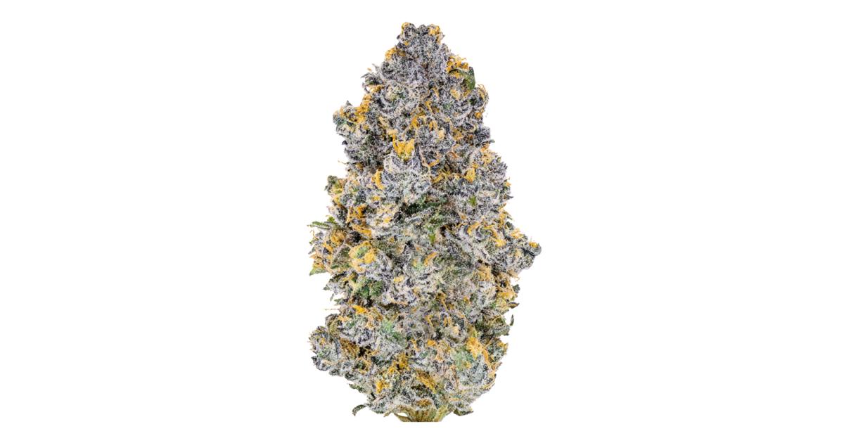 Blue Zerds (Hybrid)
