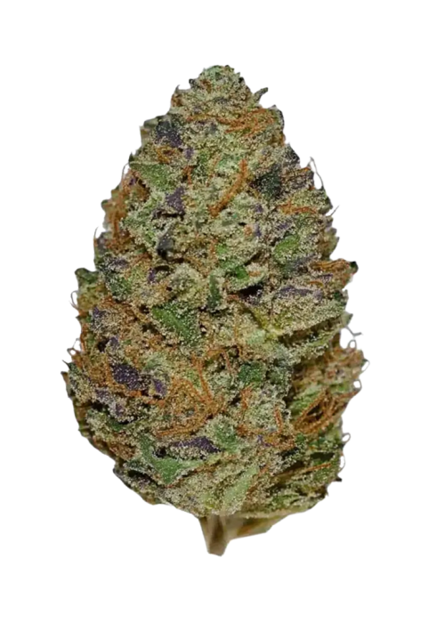 Raspberry Lemonade (Sativa Dom. Hybrid)