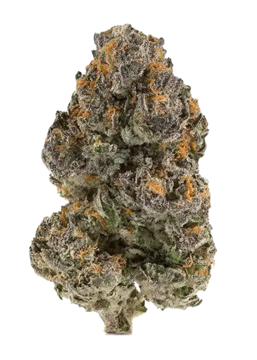 Cherry Gushers (Hybrid) - Front View