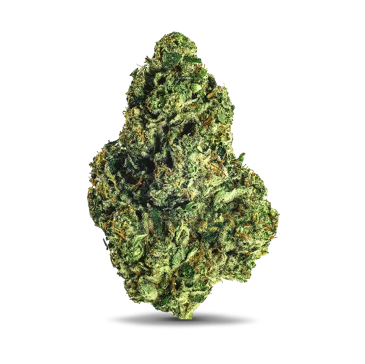 98K (Indica Dom. Hybrid) - close up detail