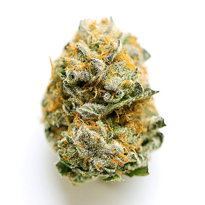 Alaskan Ice(Sativa Dom. Hybrid) close-up