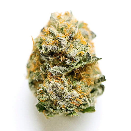 Astro Candy(Hybrid) close-up