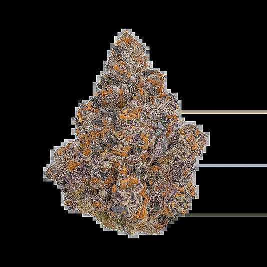 Black Cherry Gelato (Indica Dom. Hybrid) - Side View