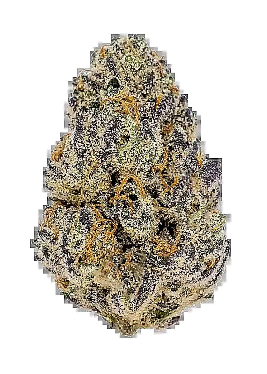Black Cherry Punch (Indica Dom. Hybrid) - Side View