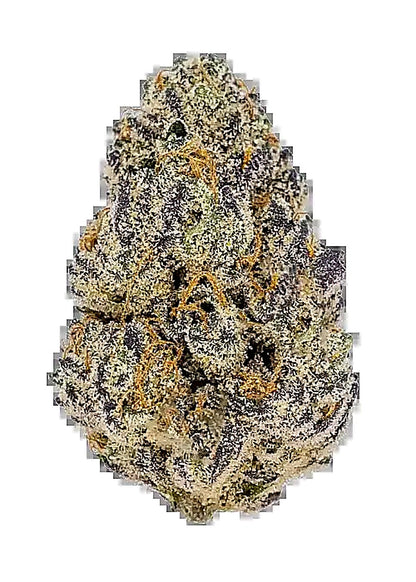 Black Cherry Punch (Indica Dom. Hybrid) - Side View