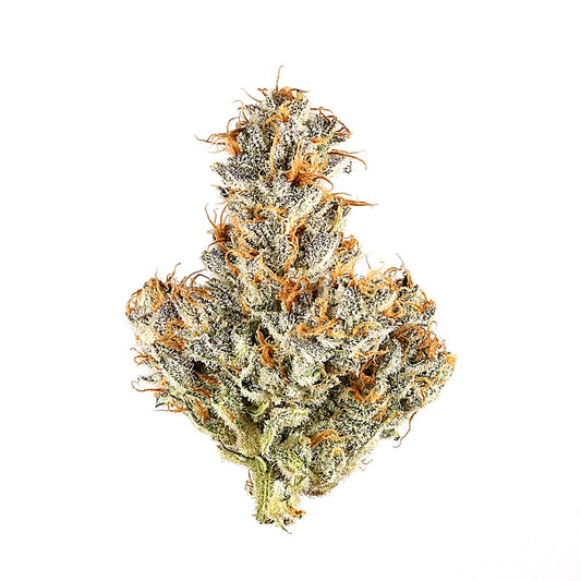 Black Truffle(Hybrid) - image 2