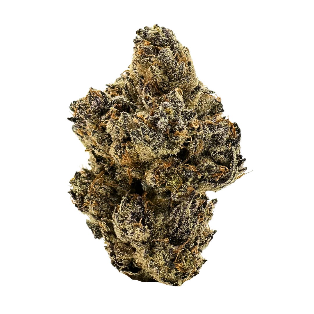 Black Water (Indica Dom. Hybrid) - product image