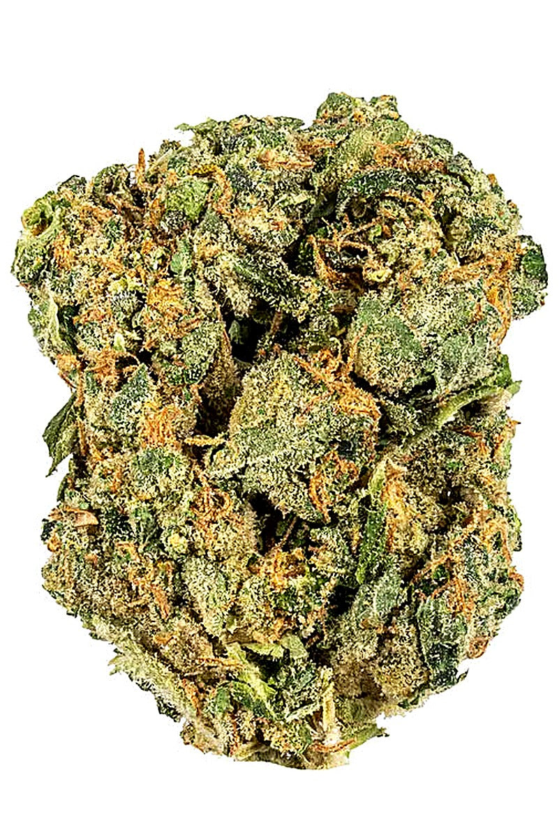 Blanco (Hybrid) - Front View