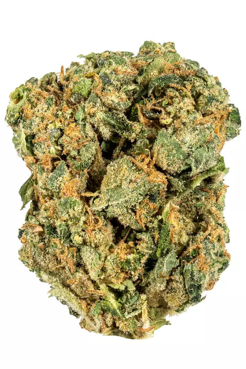 Blanco (Hybrid)