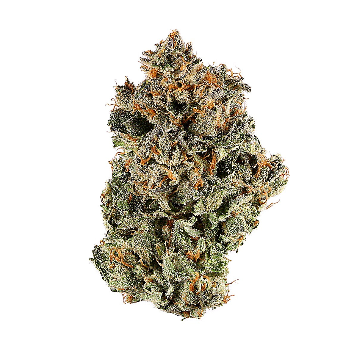 Blockberry(Indica Dom. Hybrid) - Side View