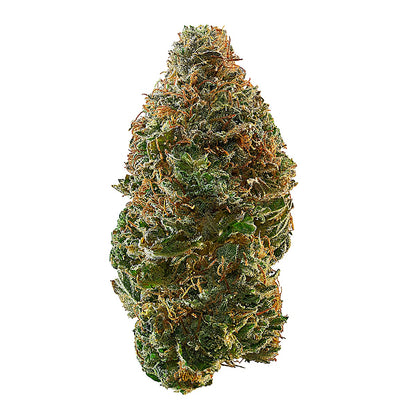 Blue Candy Zour (Hybrid) - Side View