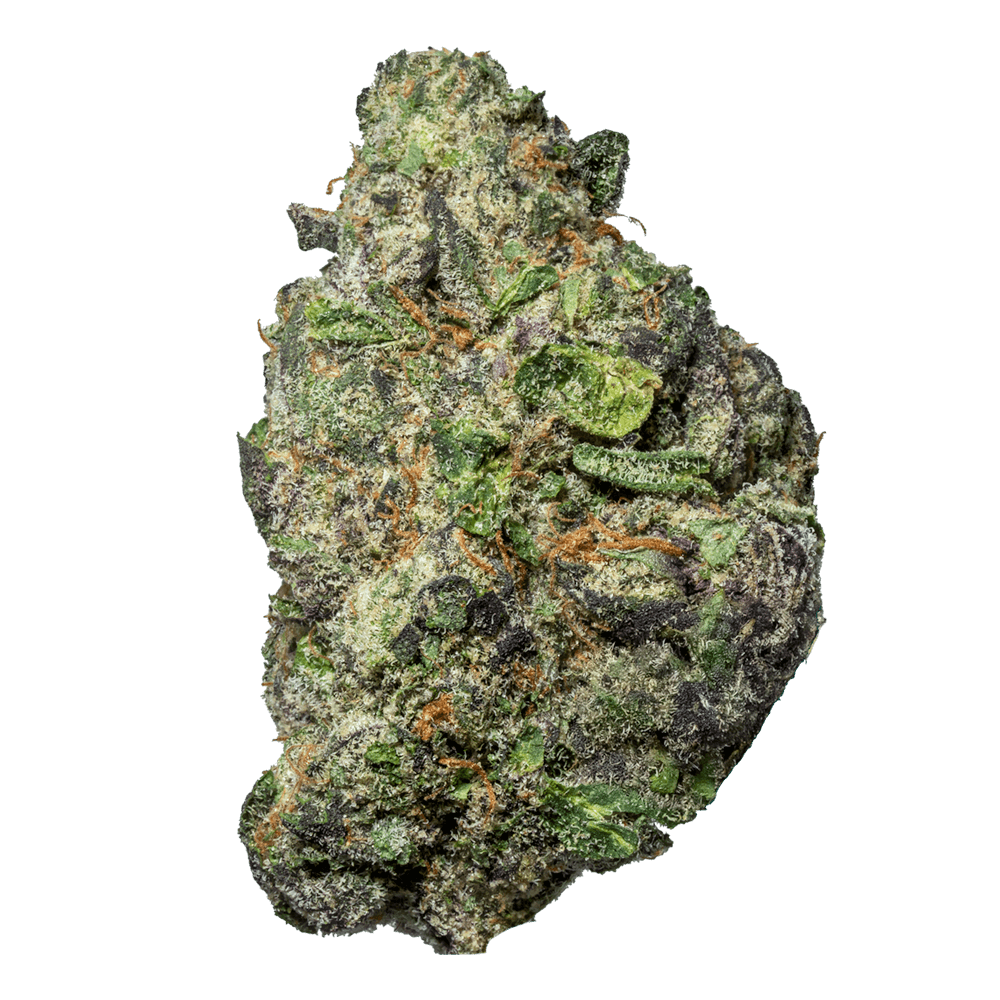 Blue Nerdz (Hybrid)