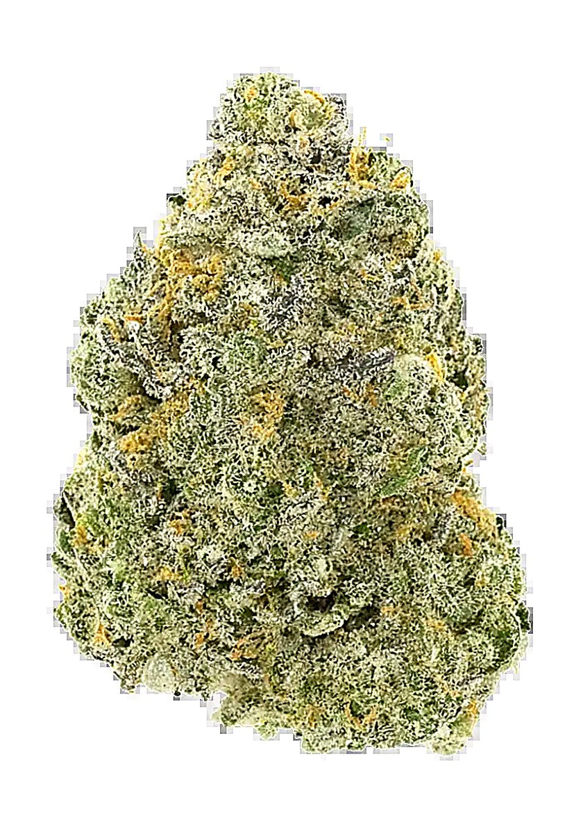 Blueberry Slushy (Indica Dom. Hybrid) - Side View