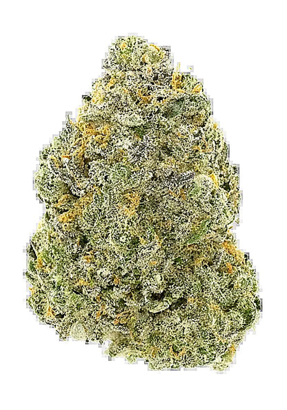 Blueberry Slushy (Indica Dom. Hybrid) - Side View