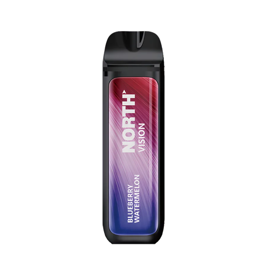 North 15000 Puffs Vision