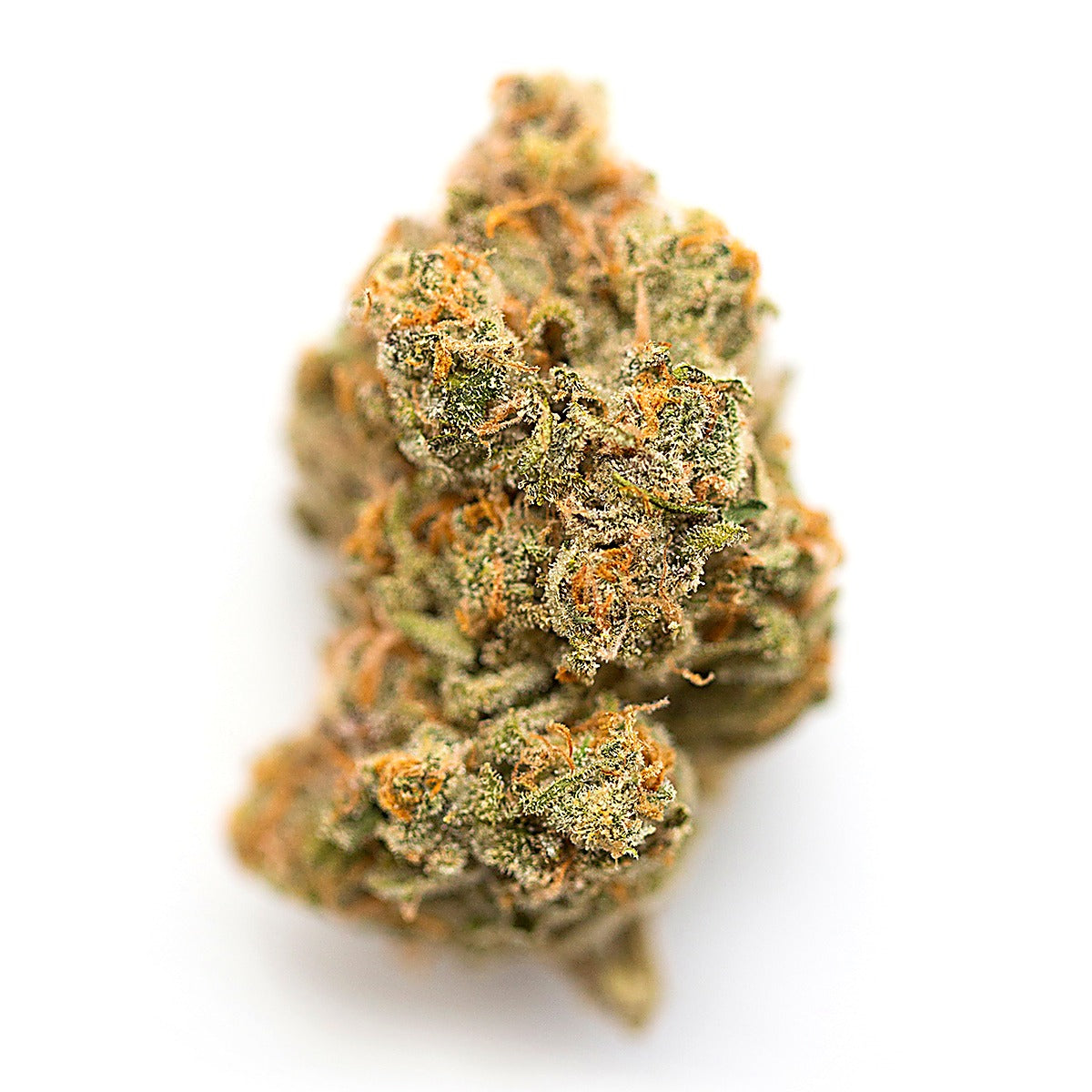 Caliburger(Hybrid) - Side View