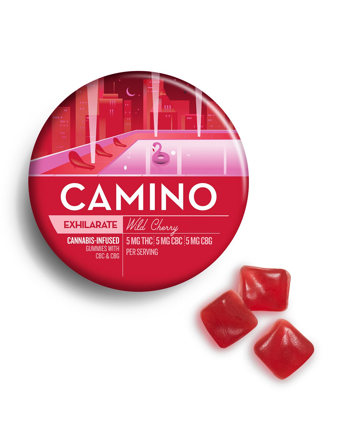 Camino Hemp-Infused Gummies 10pk - product image