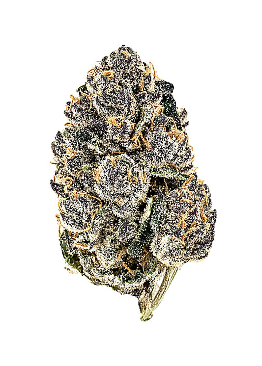 Chrome Dome (Hybrid) - Main Image