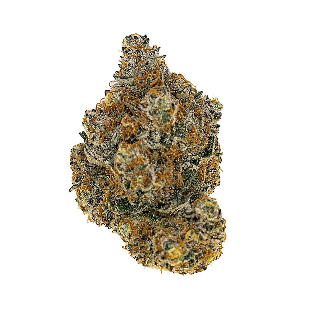 Coup De Gras (Indica Dom. Hybrid) - Detail View