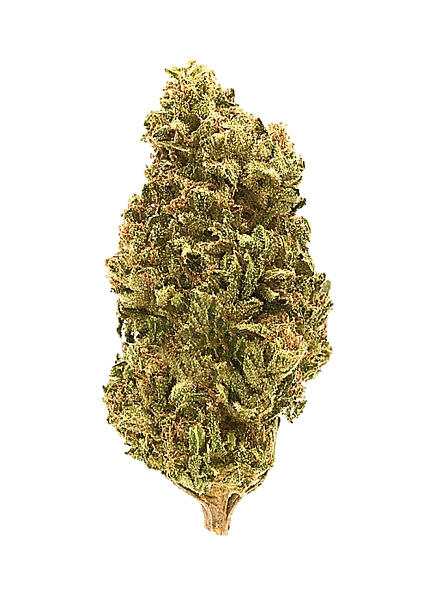 Dirty Bird (Indica dom. Hybrid) - Main Image