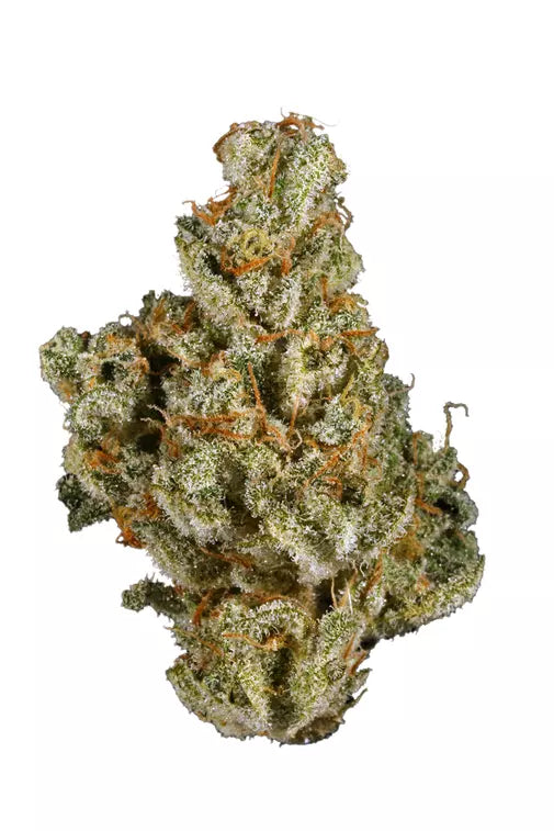 Dirty Girl Runtz (Hybrid)