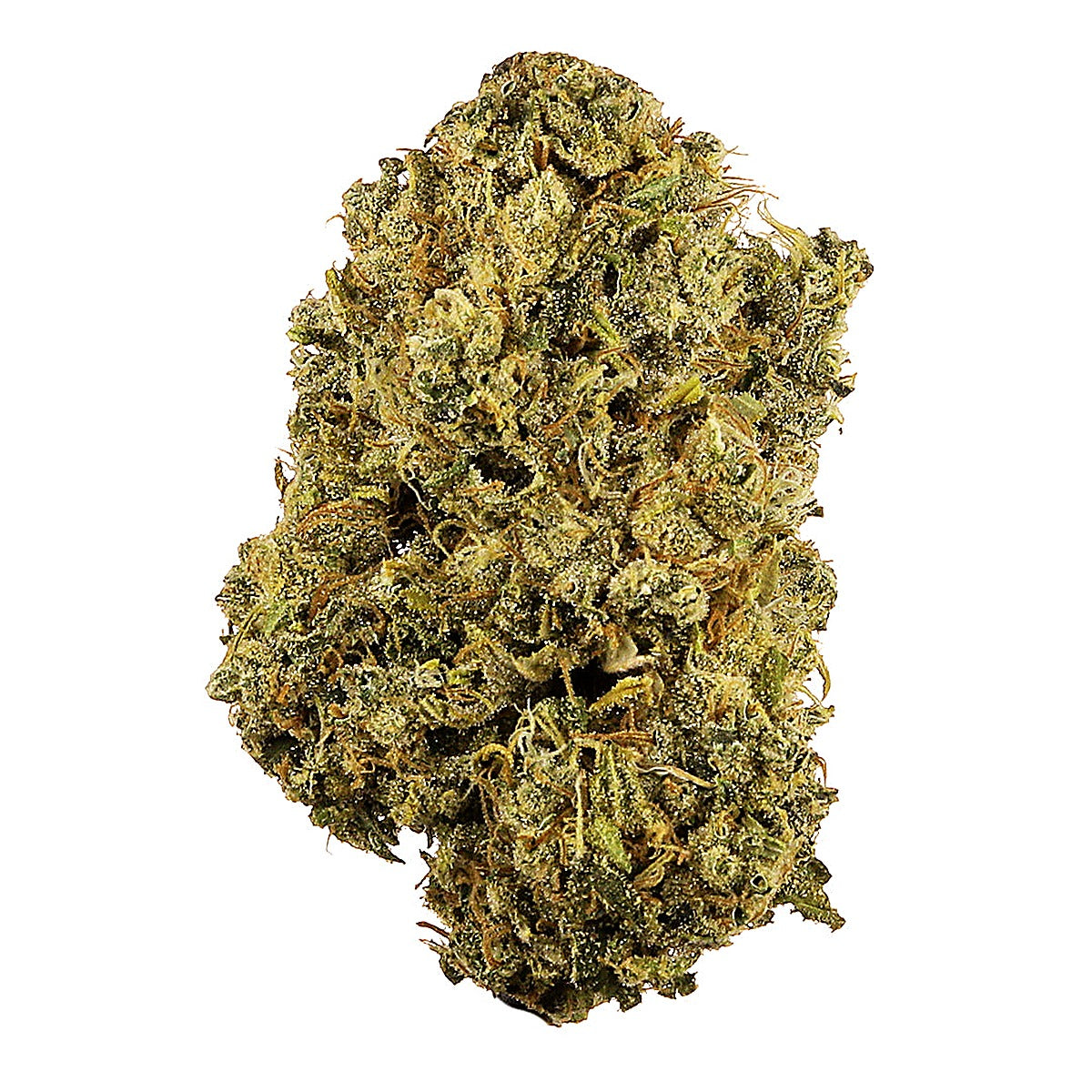 Durban Poison (Sativa) - Detail View